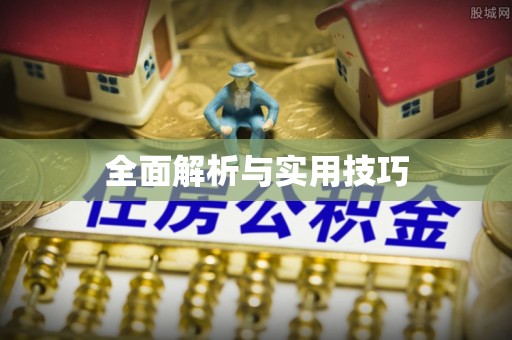 容县全面解析与实用技巧