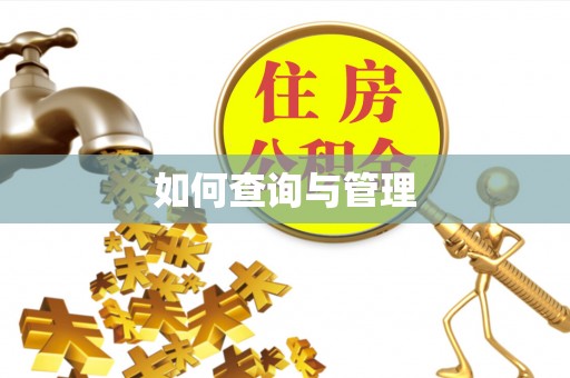 容县如何查询与管理
