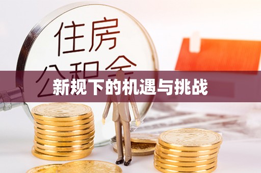 容县新规下的机遇与挑战