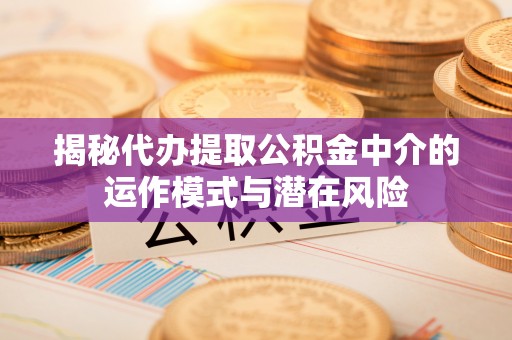 容县揭秘代办提取公积金中介的运作模式与潜在风险