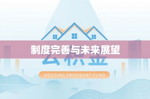 容县制度完善与未来展望