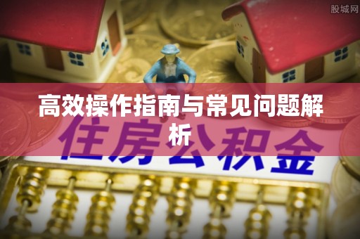 容县高效操作指南与常见问题解析