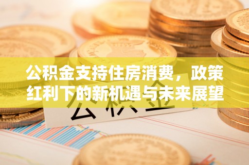 容县公积金支持住房消费，政策红利下的新机遇与未来展望