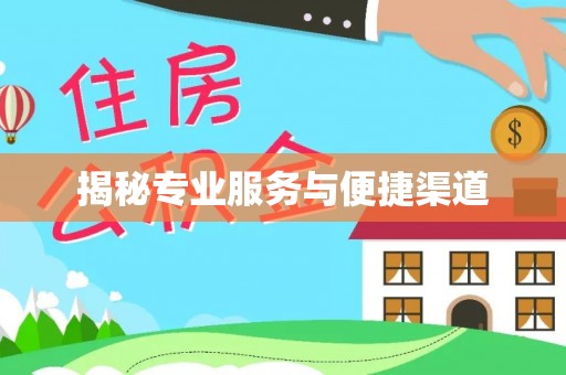 容县揭秘专业服务与便捷渠道