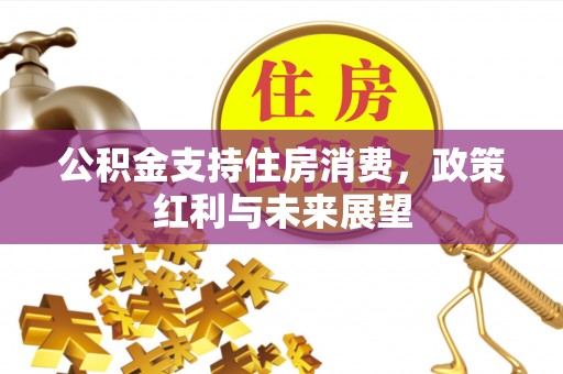 容县公积金支持住房消费，政策红利与未来展望