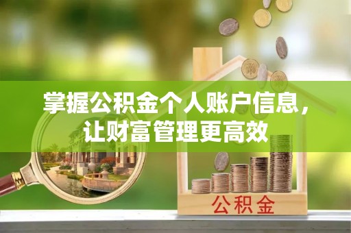 容县掌握公积金个人账户信息，让财富管理更高效