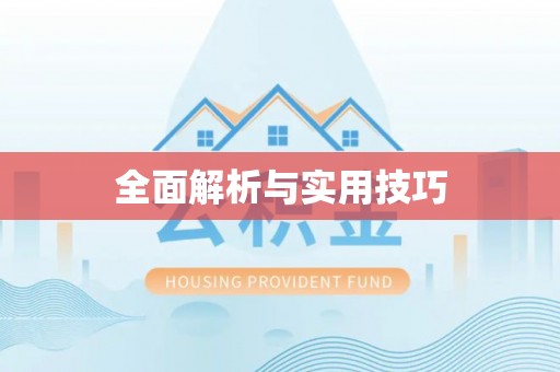 容县全面解析与实用技巧