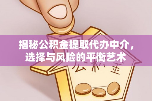 容县揭秘公积金提取代办中介，选择与风险的平衡艺术