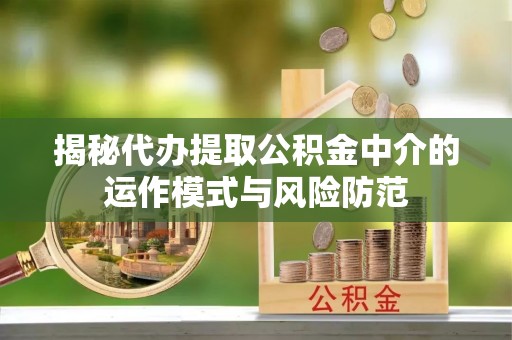 容县揭秘代办提取公积金中介的运作模式与风险防范