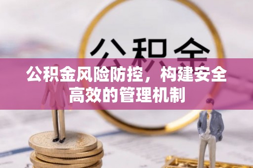容县公积金风险防控，构建安全高效的管理机制