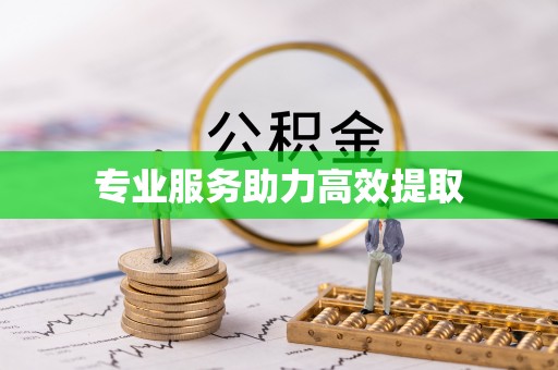 容县专业服务助力高效提取