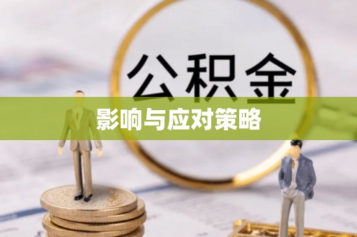 容县影响与应对策略