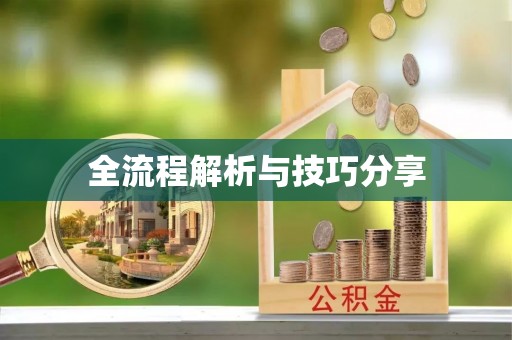 容县全流程解析与技巧分享