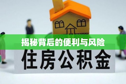 容县揭秘背后的便利与风险