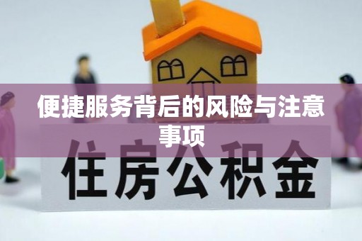 容县便捷服务背后的风险与注意事项