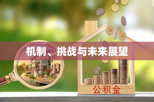 容县机制、挑战与未来展望